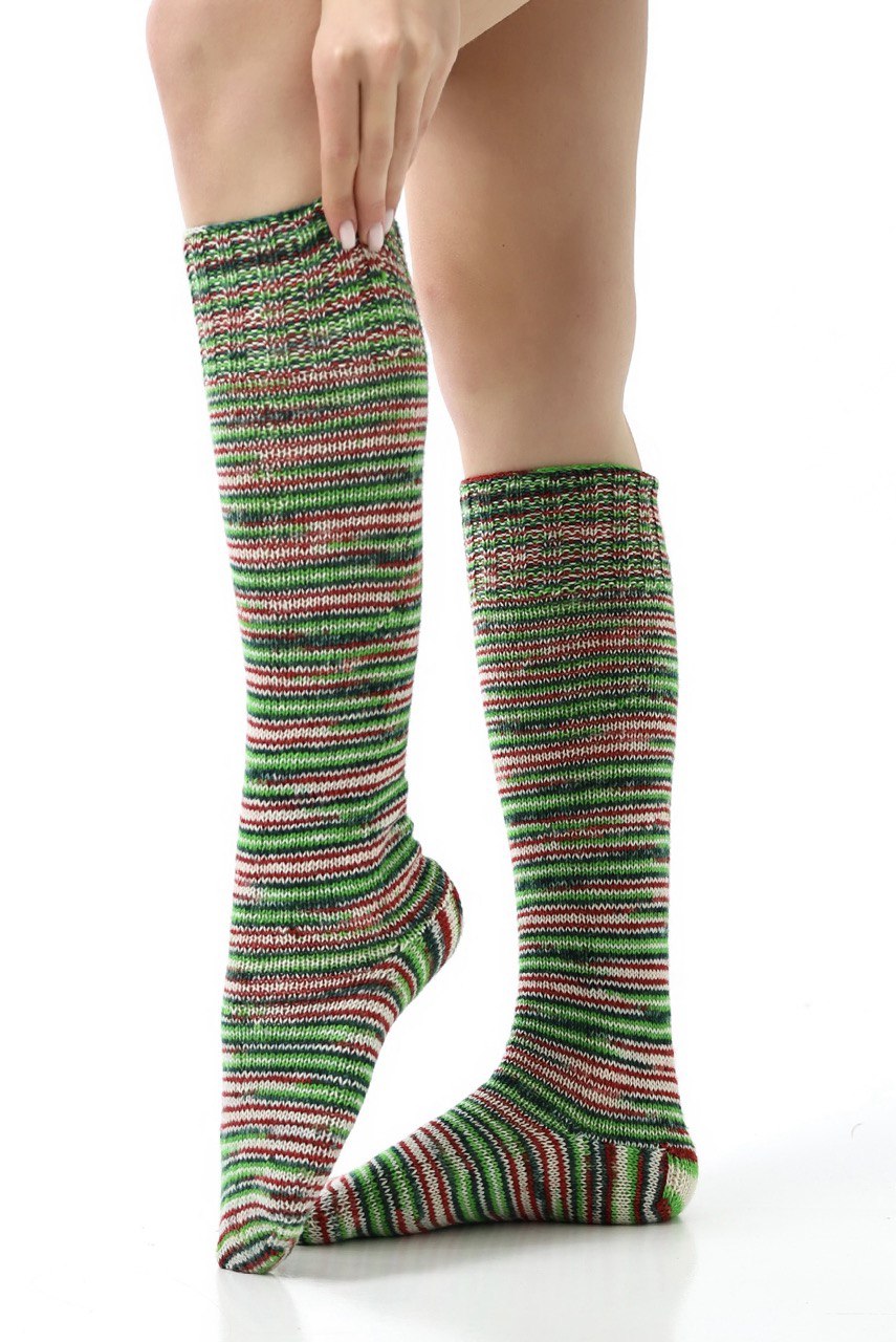 N-IY-2-5-4 N-IY-2-5-4