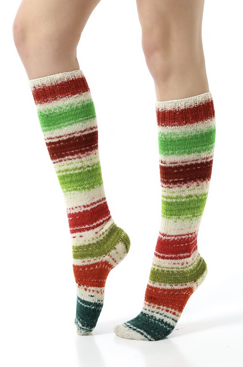 N-IY-2-3-4 N-IY-2-3-4