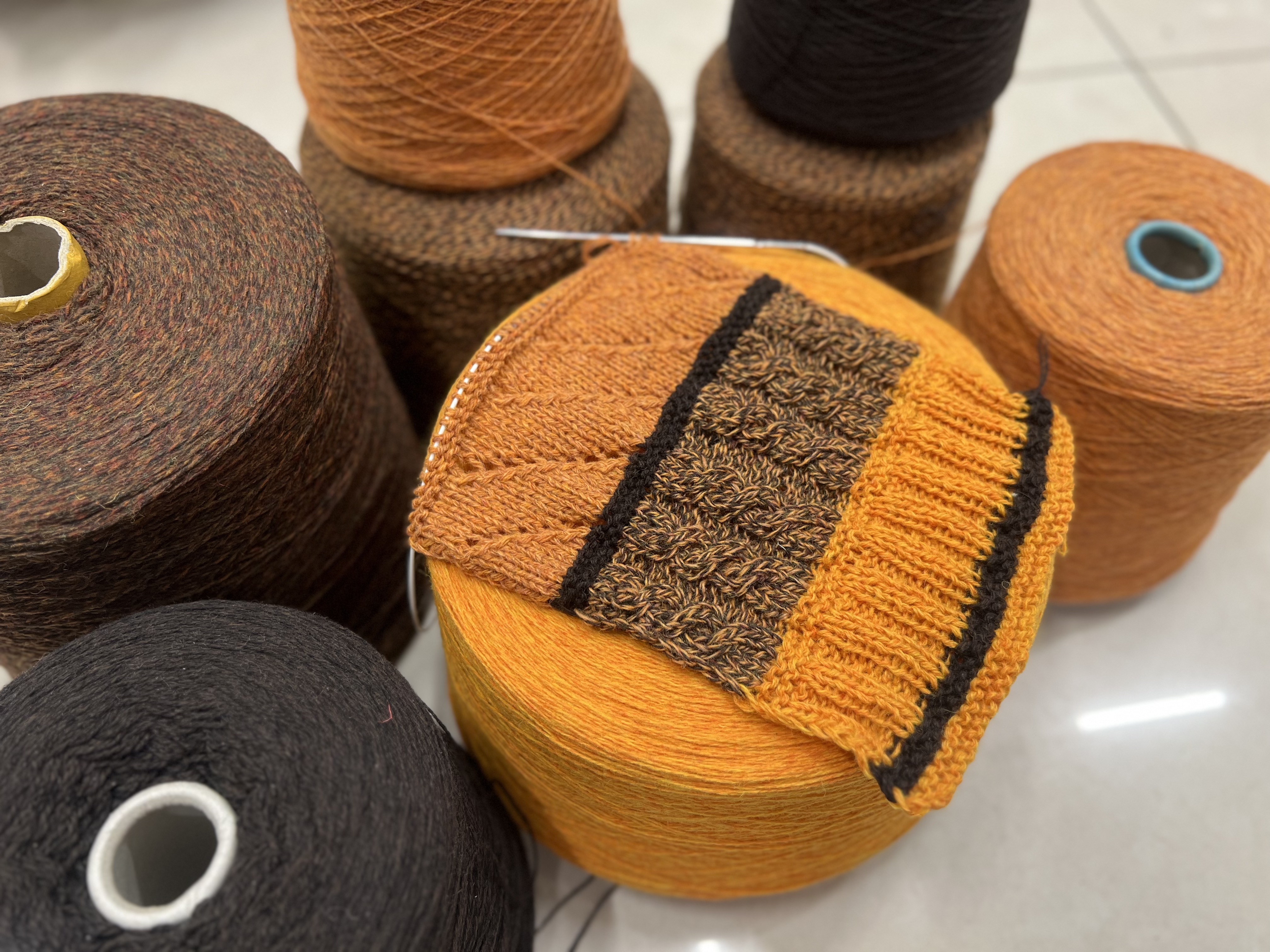 Осенний шетланд😍