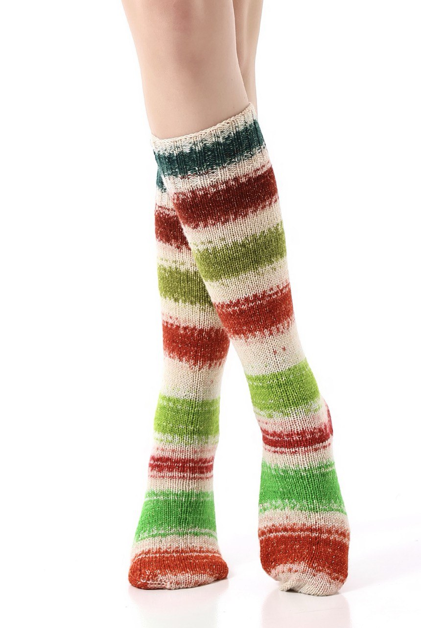 N-IY-2-4-4 N-IY-2-4-4