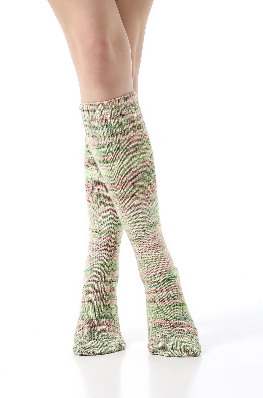 N-IY-2-1-6 N-IY-2-1-6