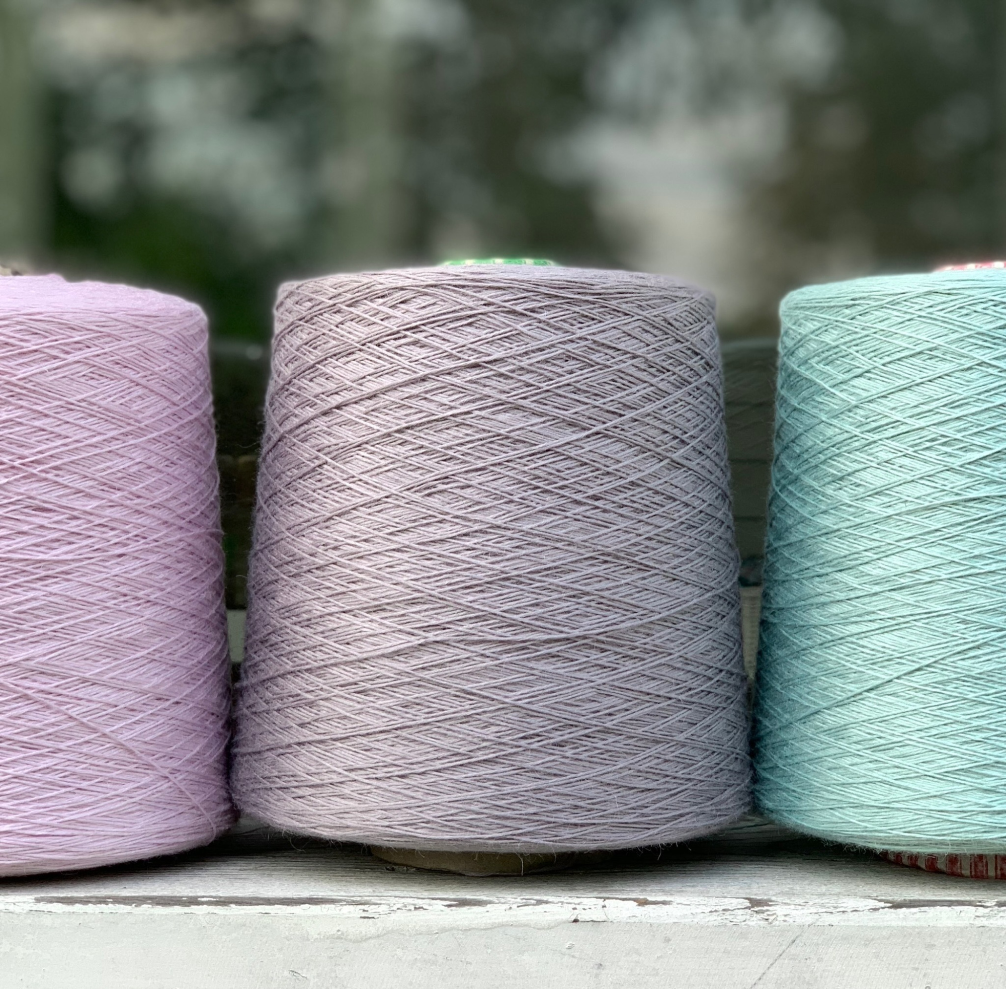 B-BB-0036_1 B-BB-0036_1